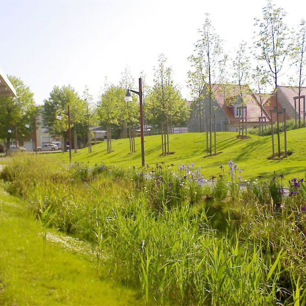 Grassland and gren spaces are part of the proposed development